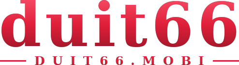 duit66 logo